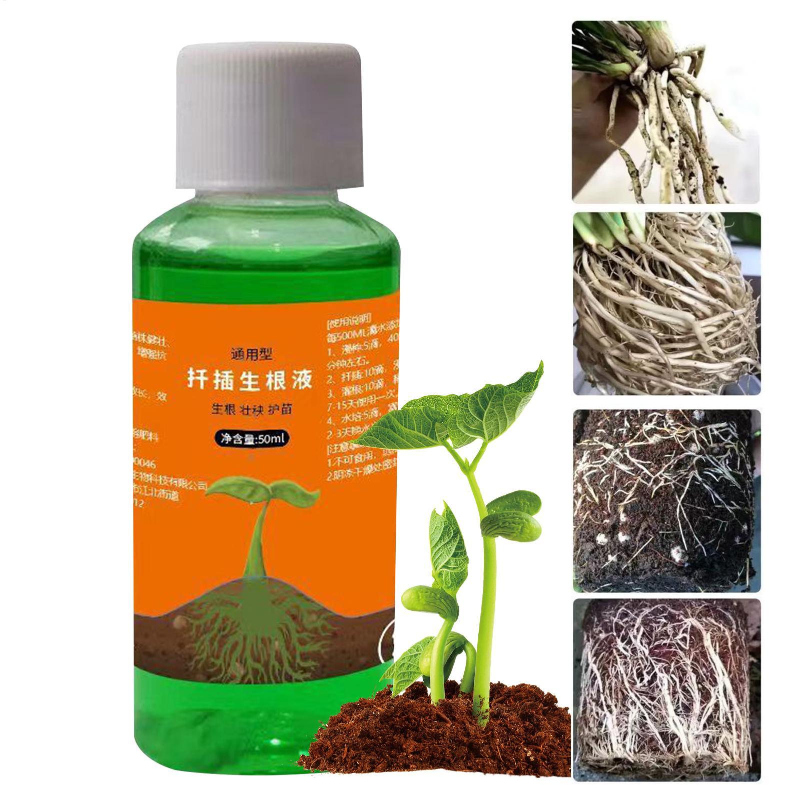 Root Stimulator Liquid - สารกระตุ้นรากประสิทธิภาพสูงสำหรับการปักชำพืช สารเร่งการราก ช่วยเร่งการเจริญเติบโตของรากสำหรับพืชสวน สารอาหารสำหรับการย้ายปลูก
