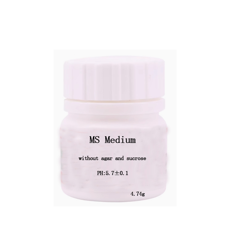 สารอาหาร MS Medium ไม่มีวุ้นหร - Agar Tissue Culture บทวิจารณ์และราคา
