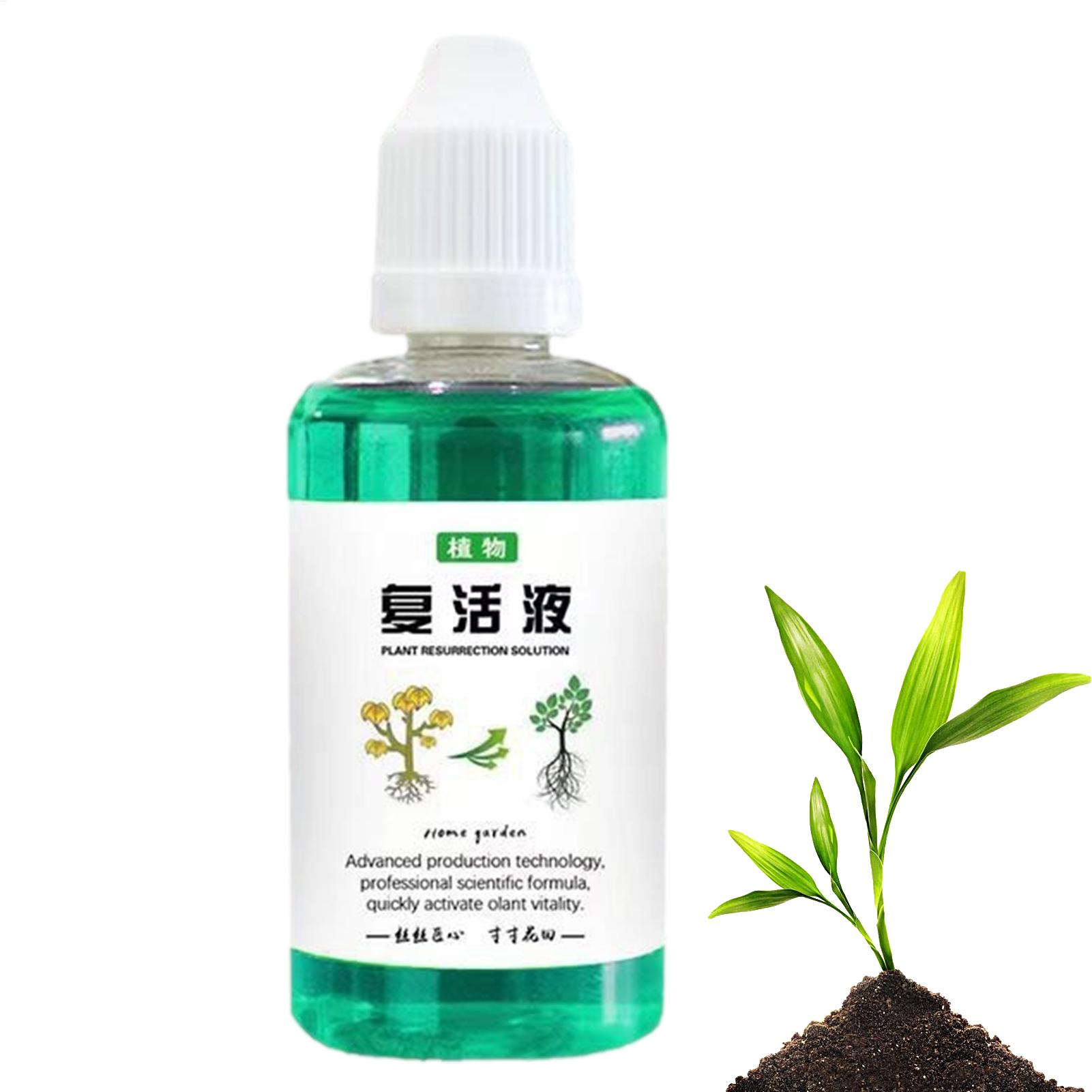 น้ำยากระตุ้นราก 50 มล. ปุ๋ยเหล - Root Stimulator Liquid บทวิจารณ์และราคา