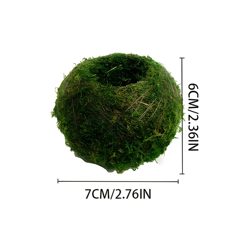 กระถางมอสบอลประดิษฐ์, ภาชนะปลู - Sphagnum Moss Dry บทวิจารณ์และราคา