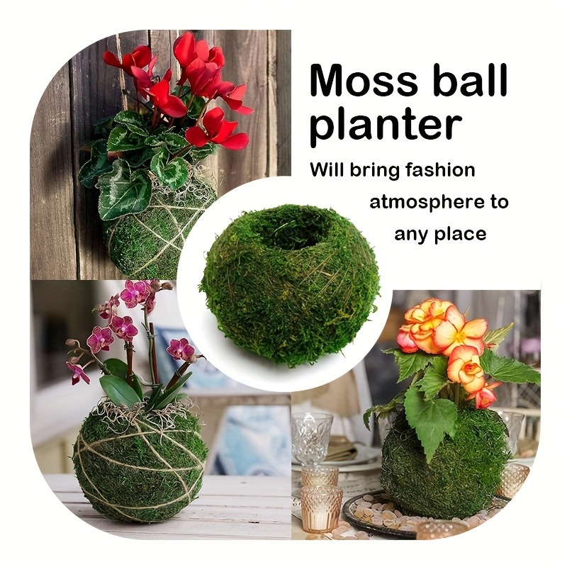 กระถางมอสบอลประดิษฐ์, ภาชนะปลู - Sphagnum Moss Dry บทวิจารณ์และราคา