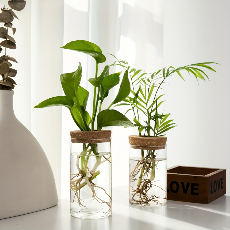 1ชิ้น, ไฮโดรโปนิกส์พืชแจกันปลู - Propagation Station Vase บทวิจารณ์และราคา