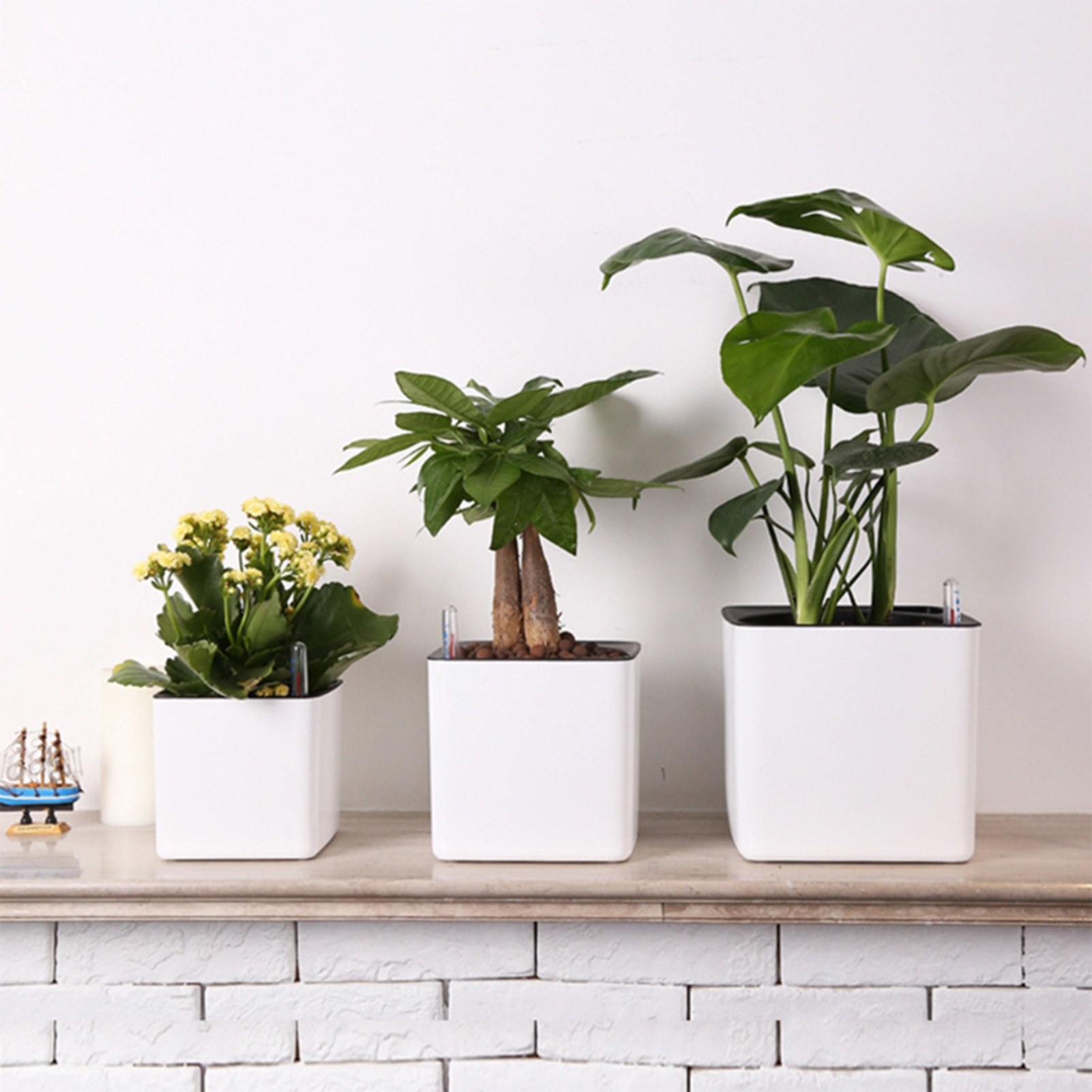 กระถางต้นไม้รดน้ำอัตโนมัติ กระ - Self Watering Insert บทวิจารณ์และราคา
