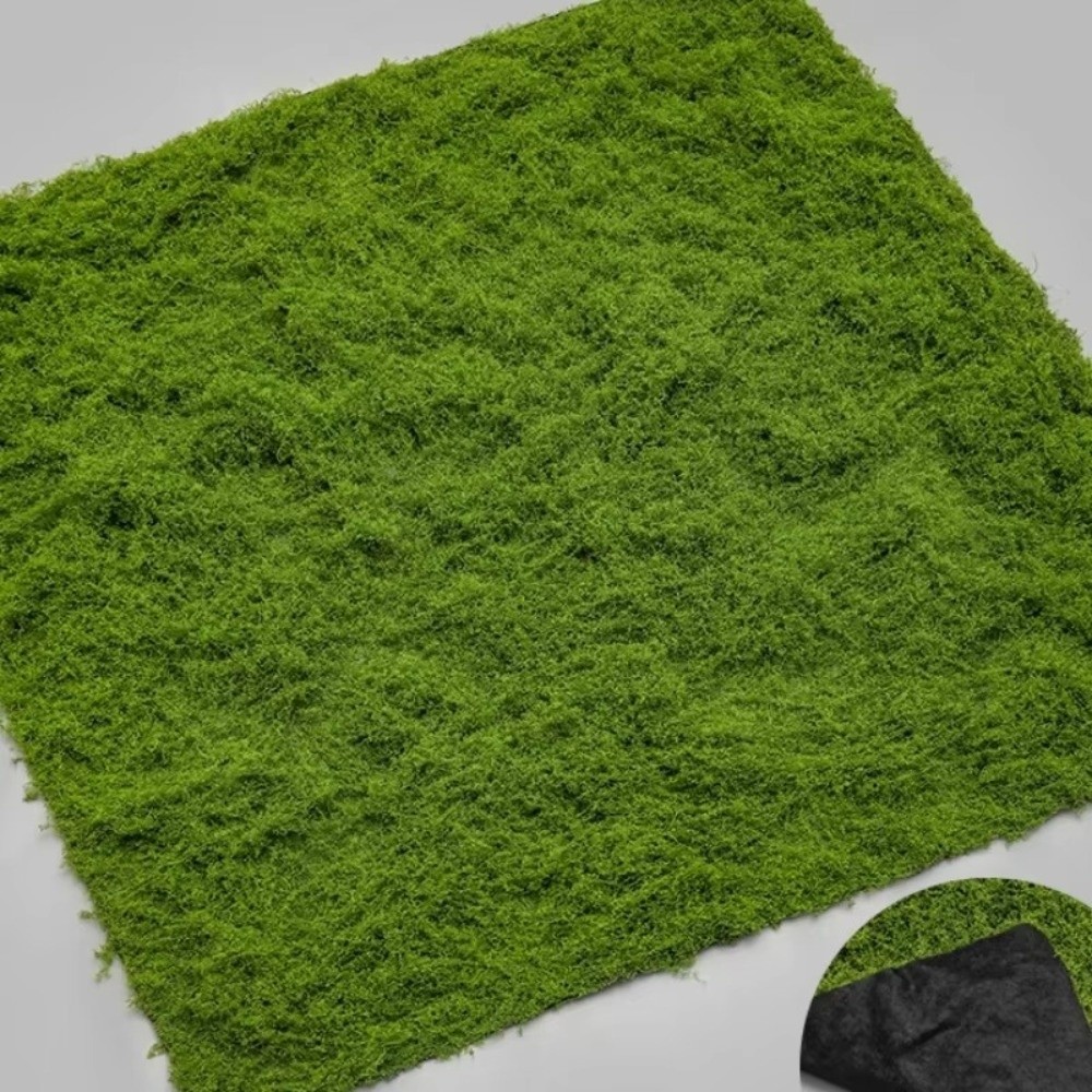 พรมหญ้าเทียม DIY ทนทาน ไม่ต้อง - Sphagnum Moss Dry บทวิจารณ์และราคา