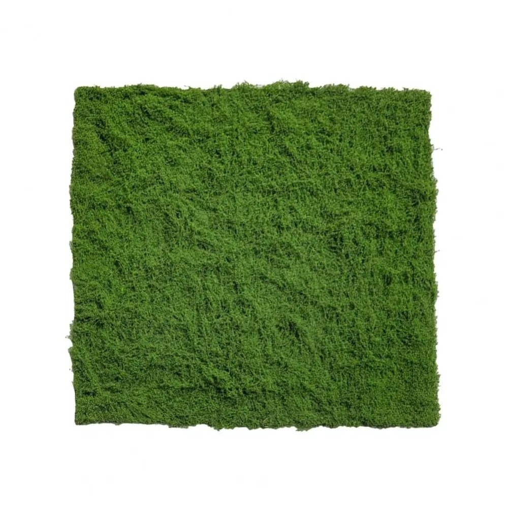 พรมหญ้าเทียม DIY ทนทาน ไม่ต้อง - Sphagnum Moss Dry บทวิจารณ์และราคา