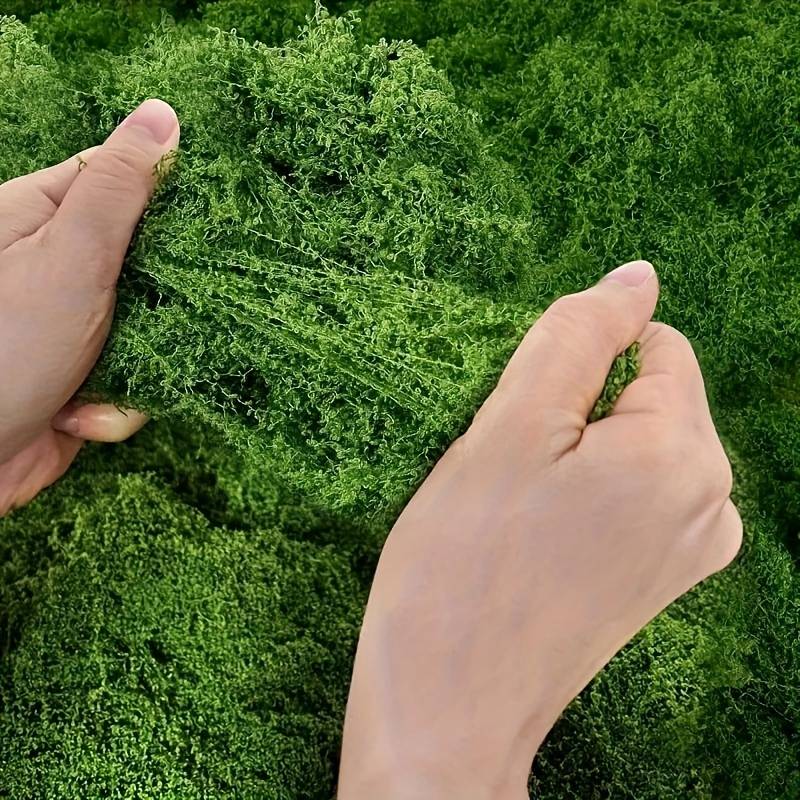 แผ่นมอสเทียมขนาด 20' x 20' สีเ - Sphagnum Moss Dry บทวิจารณ์และราคา