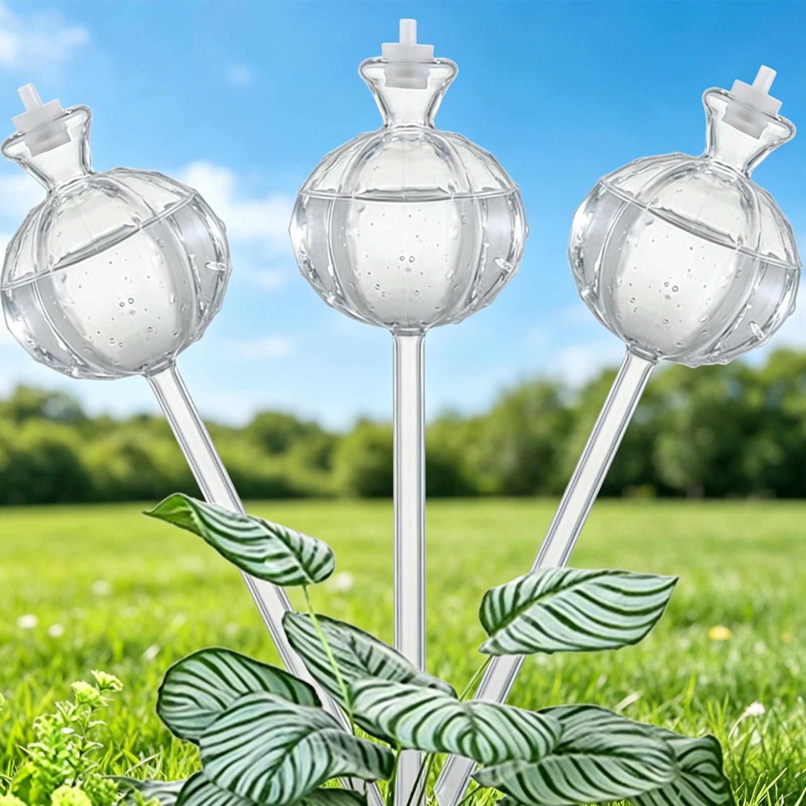 ลูกบอลรดน้ำอัตโนมัติ 3 ชิ้น แบ - Self Watering Insert บทวิจารณ์และราคา
