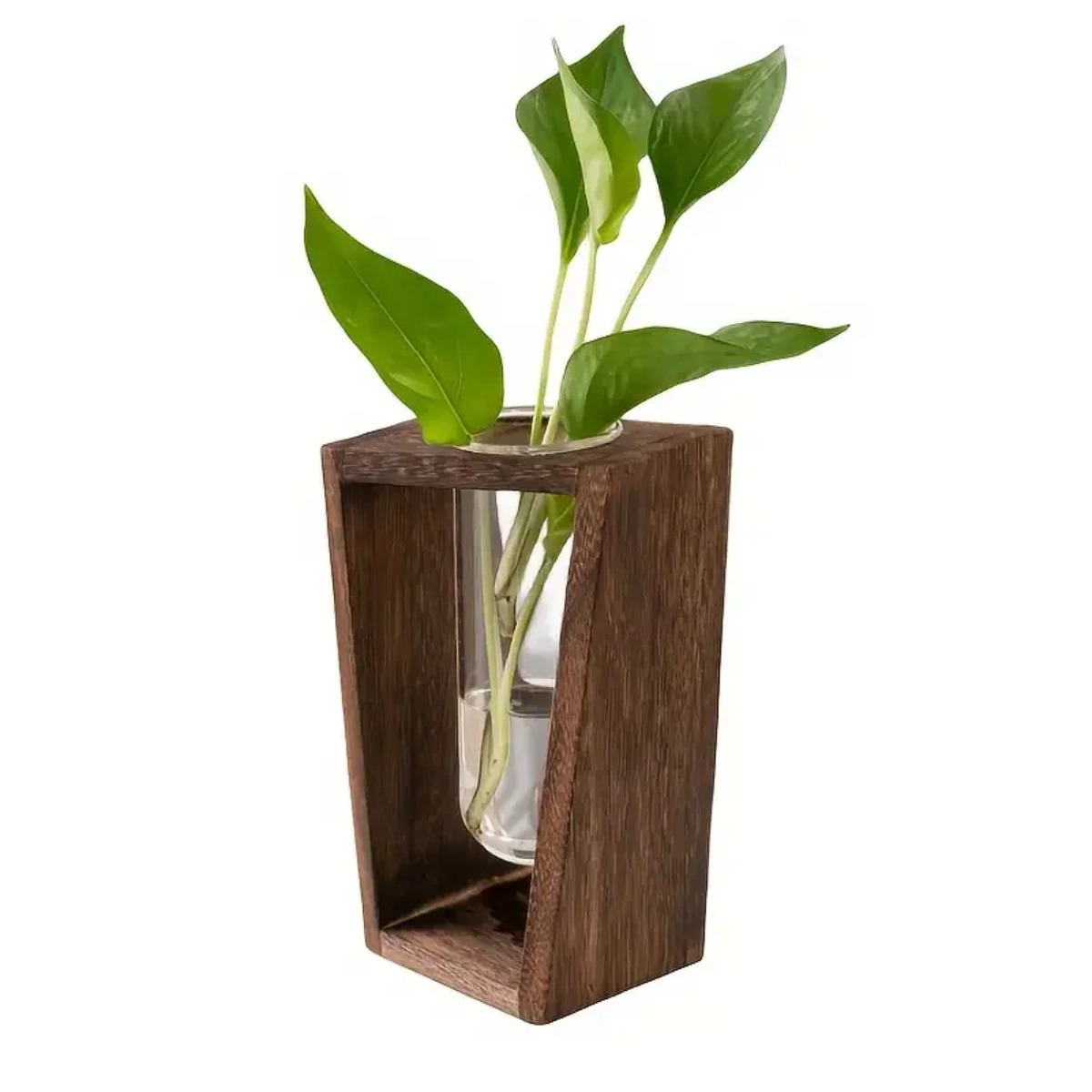 สถานีเพาะพันธุ์พืช แจกันไฮโดรโ - Propagation Station Vase บทวิจารณ์และราคา