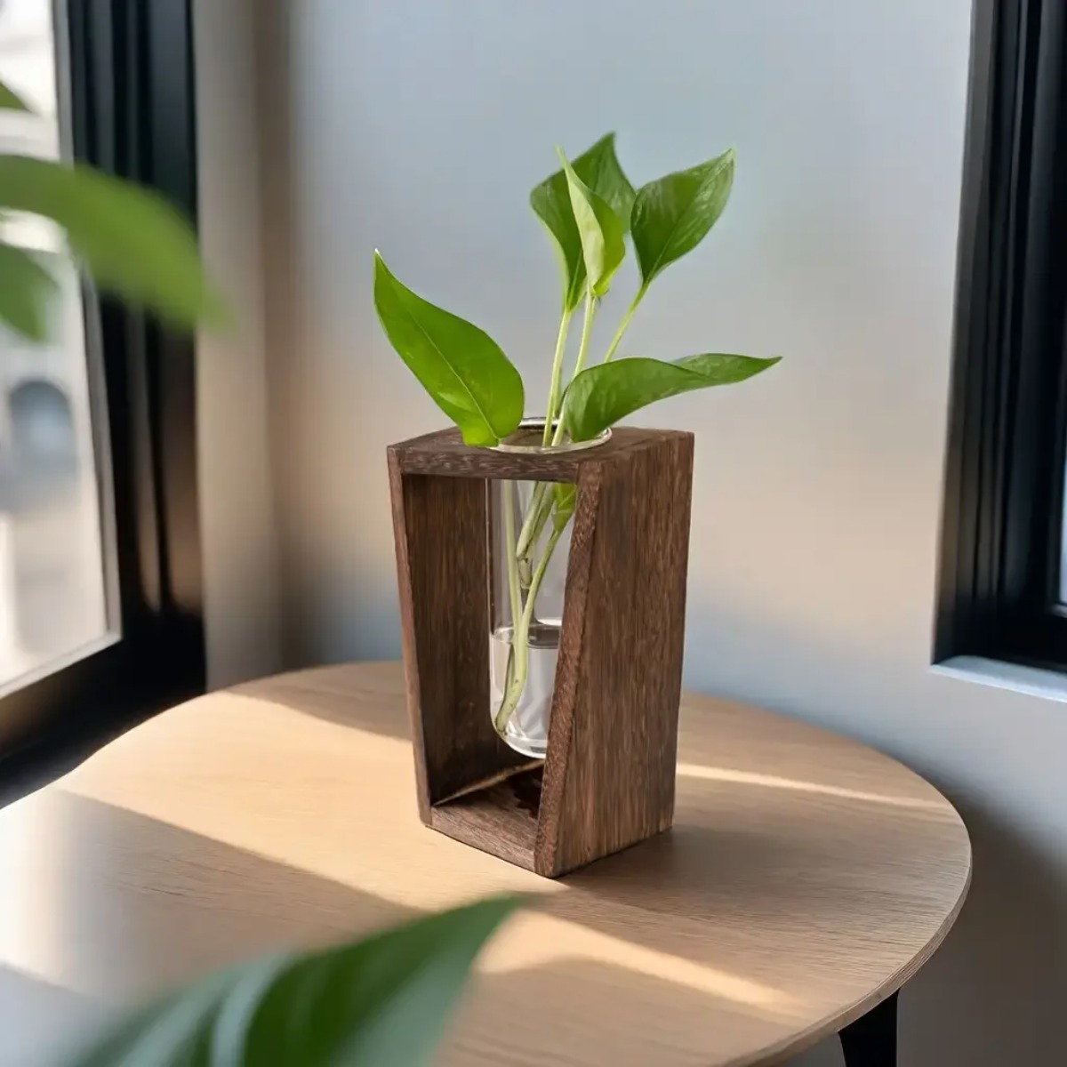 สถานีเพาะพันธุ์พืช แจกันไฮโดรโ - Propagation Station Vase บทวิจารณ์และราคา
