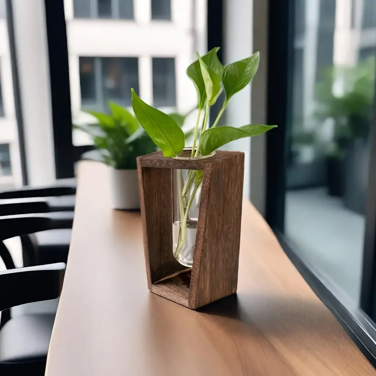 สถานีเพาะพันธุ์พืช แจกันไฮโดรโ - Propagation Station Vase บทวิจารณ์และราคา