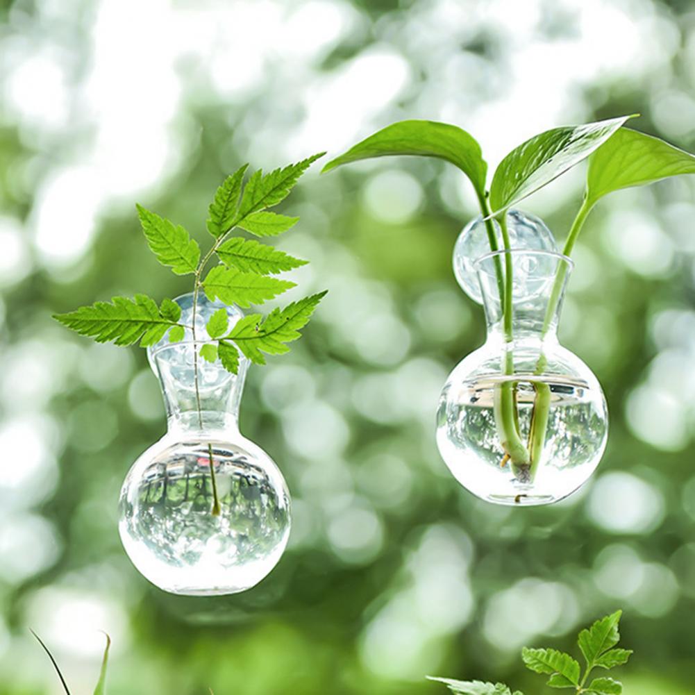 กระถางปลูกต้นไม้แบบติดหน้าต่าง - Propagation Station Vase บทวิจารณ์และราคา