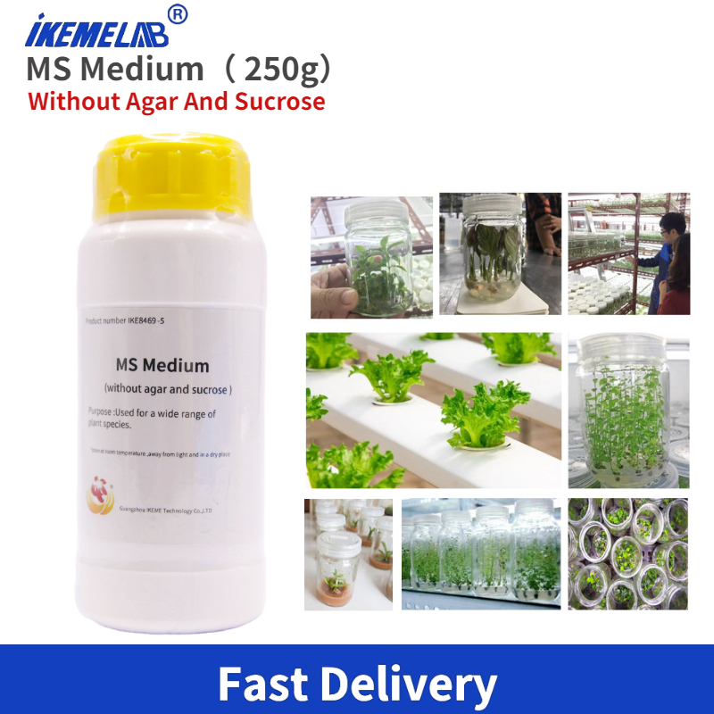 IKEME Lab MS Medium 250g Witho - Agar Tissue Culture บทวิจารณ์และราคา