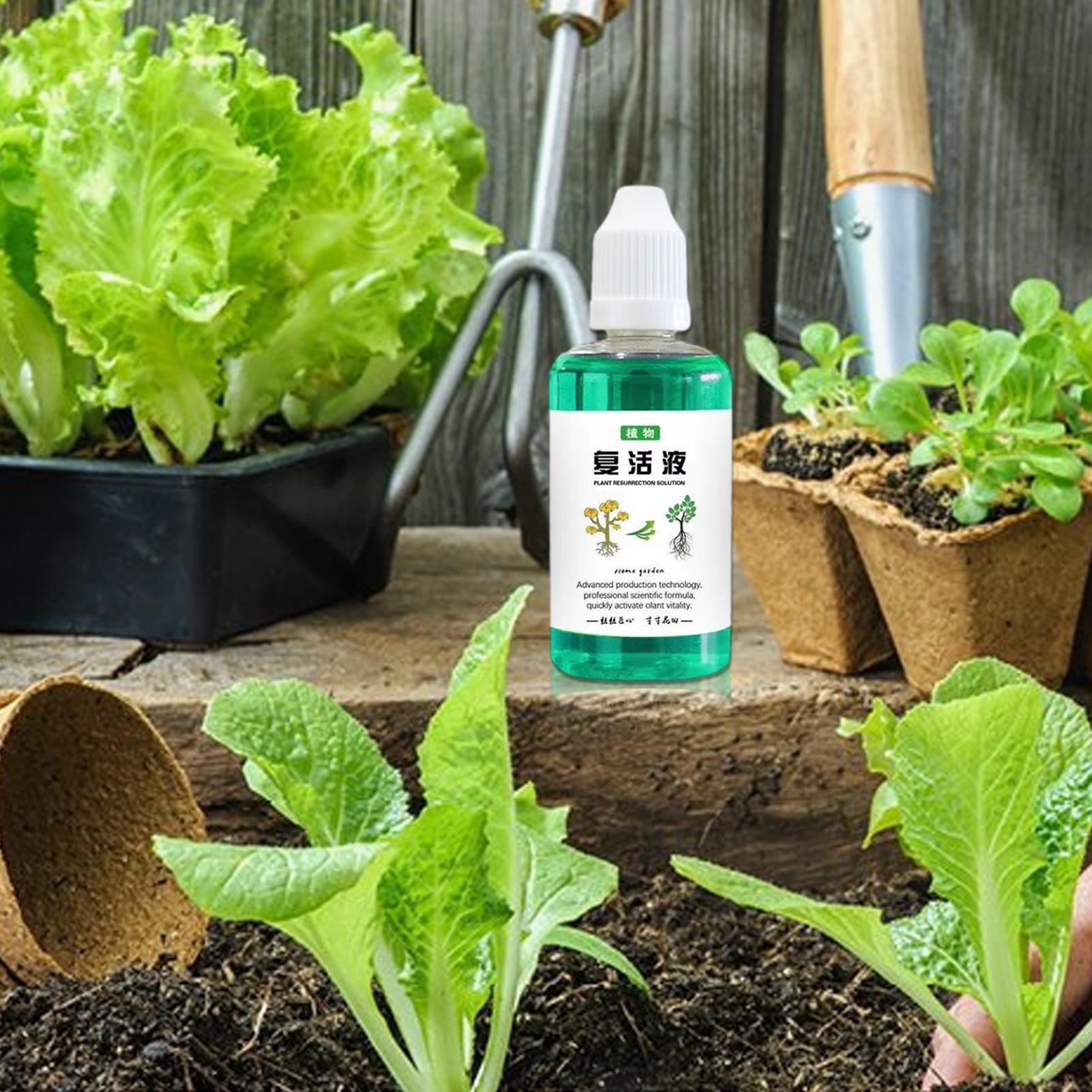 สารกระตุ้นรากสำหรับพืช 50 มล.  - Root Stimulator Liquid บทวิจารณ์และราคา