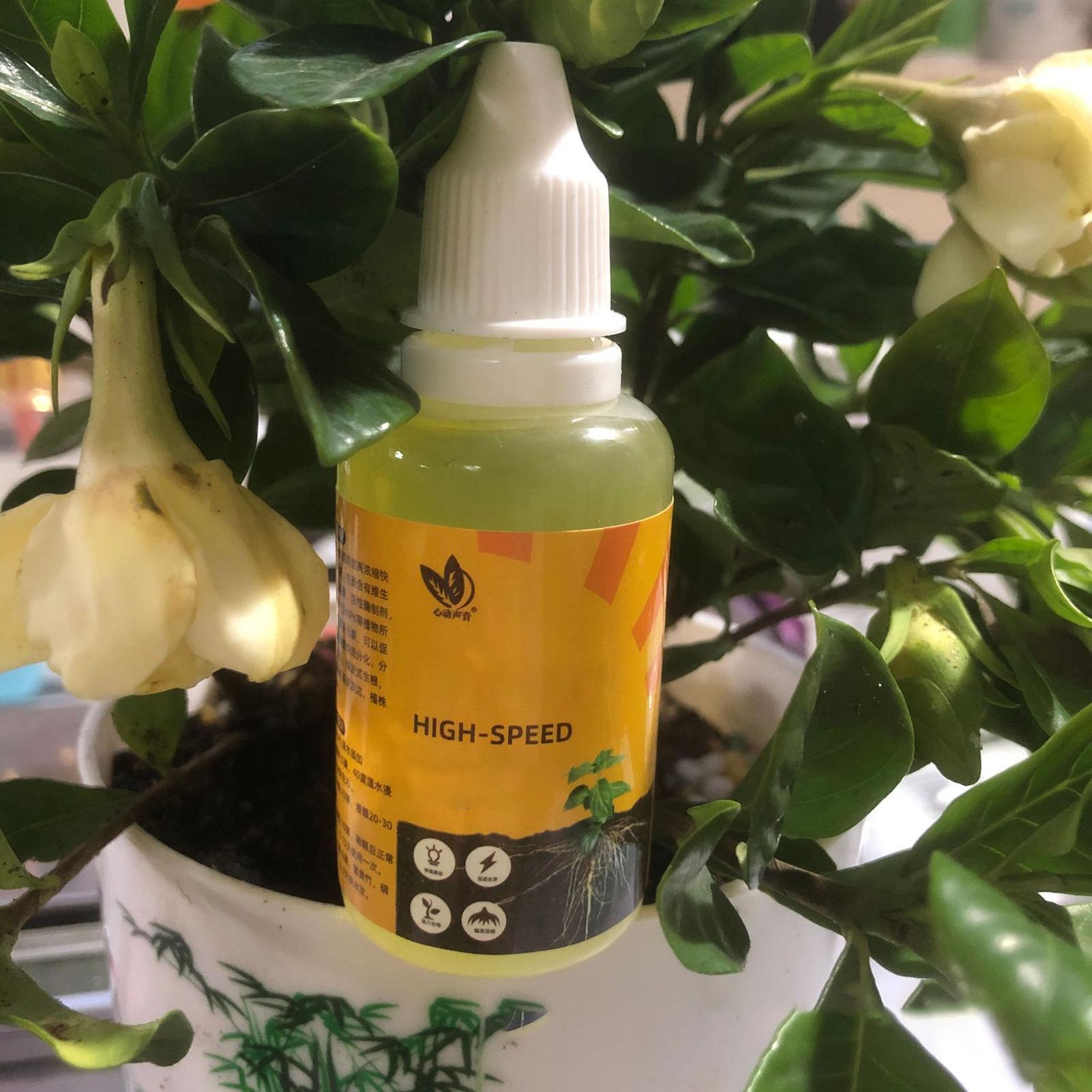 น้ำยากระตุ้นการแตกรากของพืช 50 - Root Stimulator Liquid บทวิจารณ์และราคา