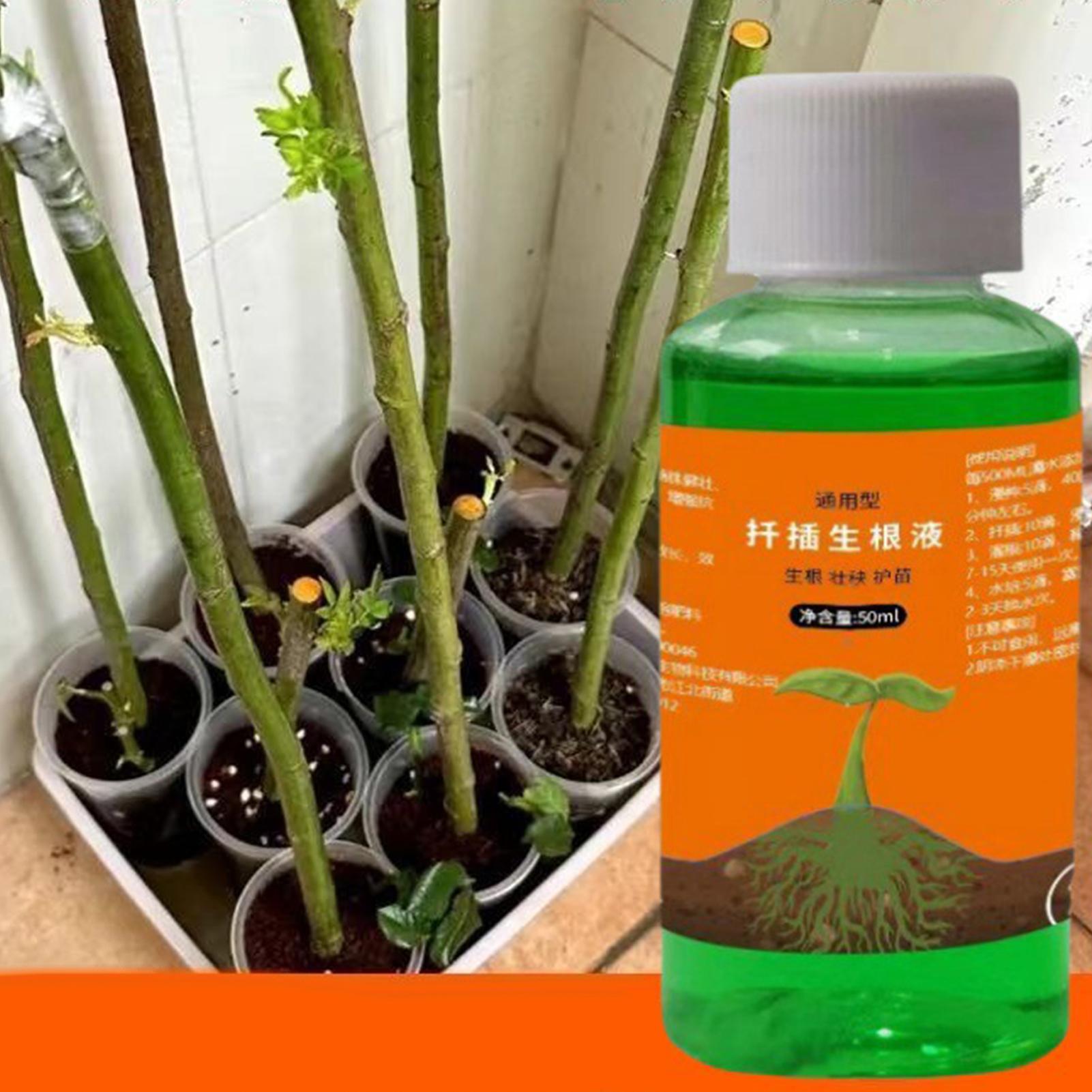 สารกระตุ้นรากประสิทธิภาพสูงสำห - Root Stimulator Liquid บทวิจารณ์และราคา