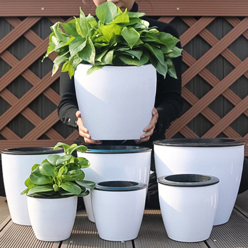 กระถางรดน้ำต้นไม้อัตโนมัติกระถ - Self Watering Insert บทวิจารณ์และราคา
