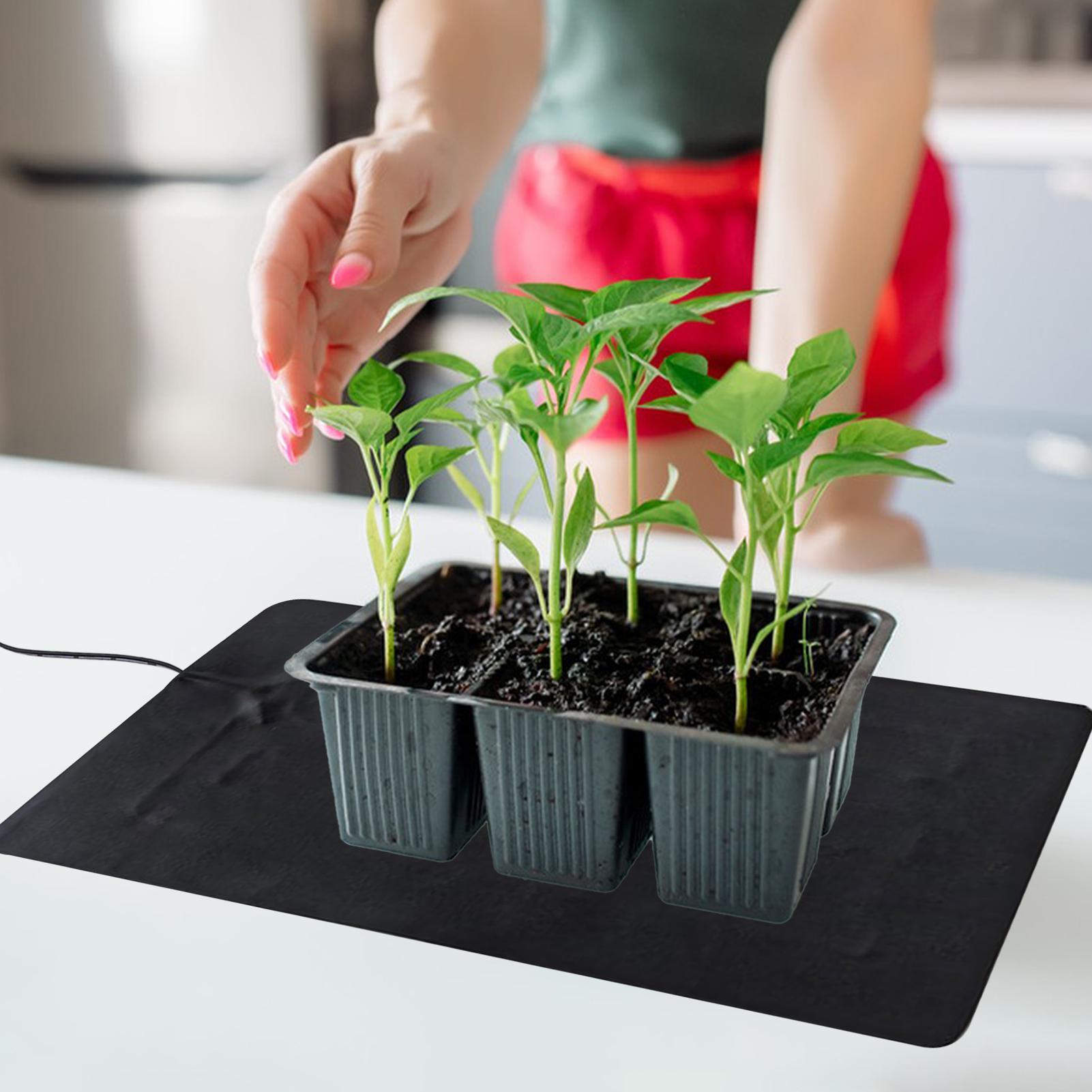 แผ่นทำความร้อนสำหรับต้นกล้า 8. - Heat Mat Seedling บทวิจารณ์และราคา