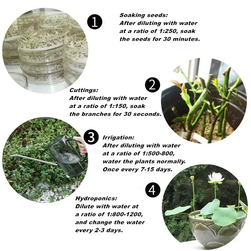 ผงฮอร์โมนควบคุมการงอกของต้นกล้ - Rooting Hormone Powder บทวิจารณ์และราคา