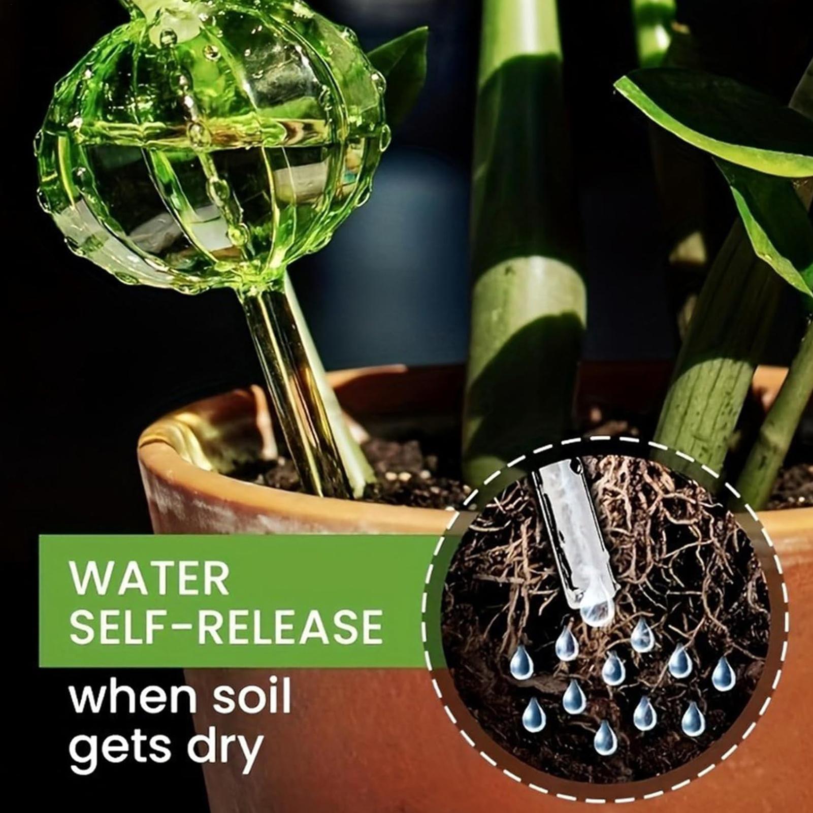 เสาให้น้ำต้นไม้แบบปล่อยน้ำช้า  - Self Watering Insert บทวิจารณ์และราคา