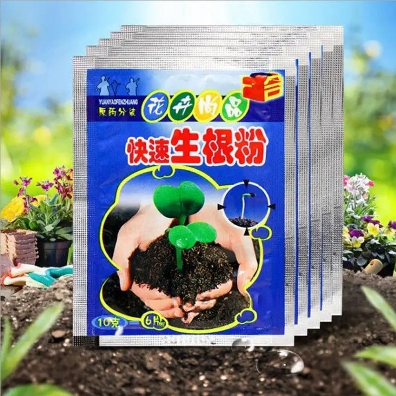 ผงเร่งราก 5 ชิ้น สารเร่งรากเร็ - Rooting Hormone Powder บทวิจารณ์และราคา