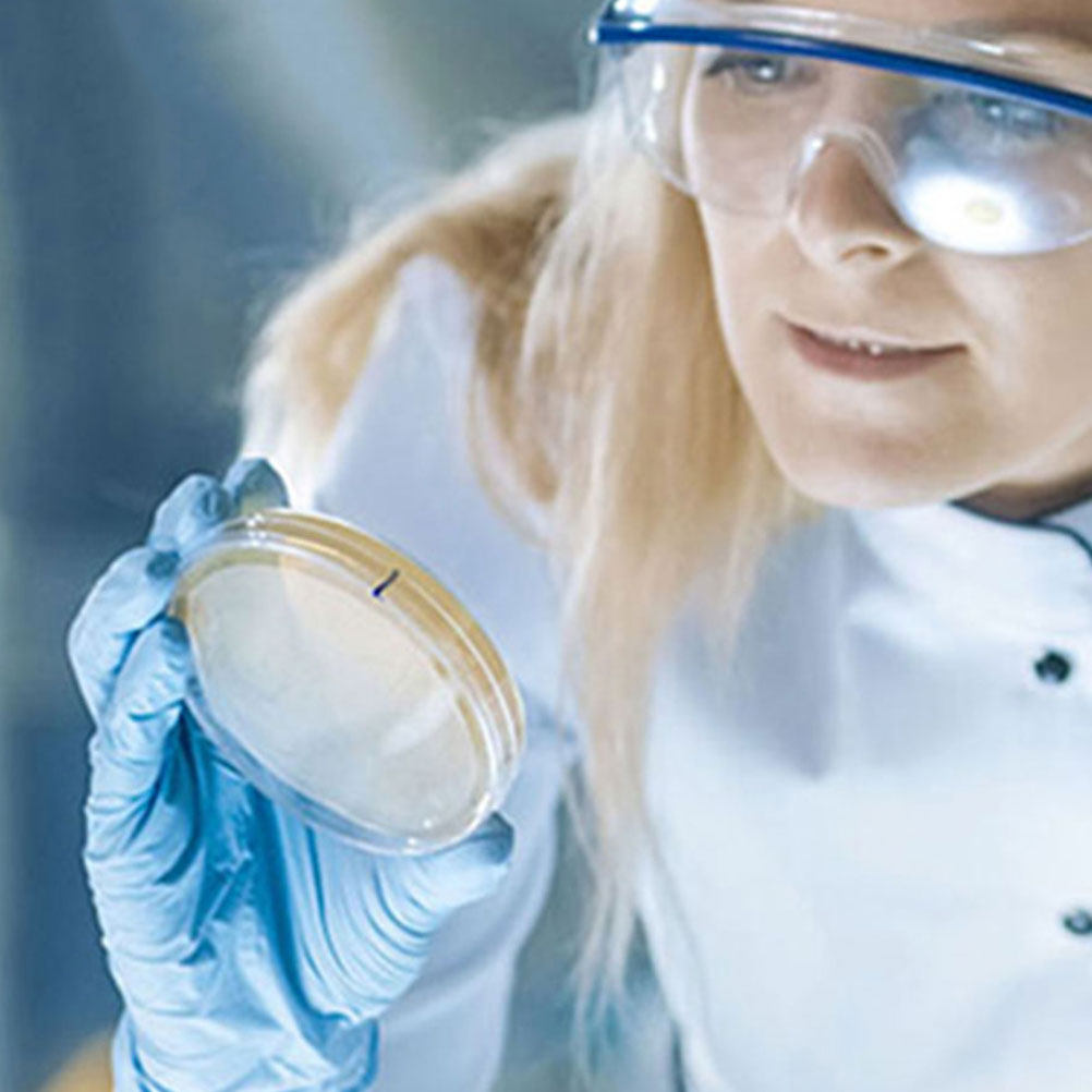 10 ชิ้น จานเพาะเชื้อพลาสติกใส  - Agar Tissue Culture บทวิจารณ์และราคา