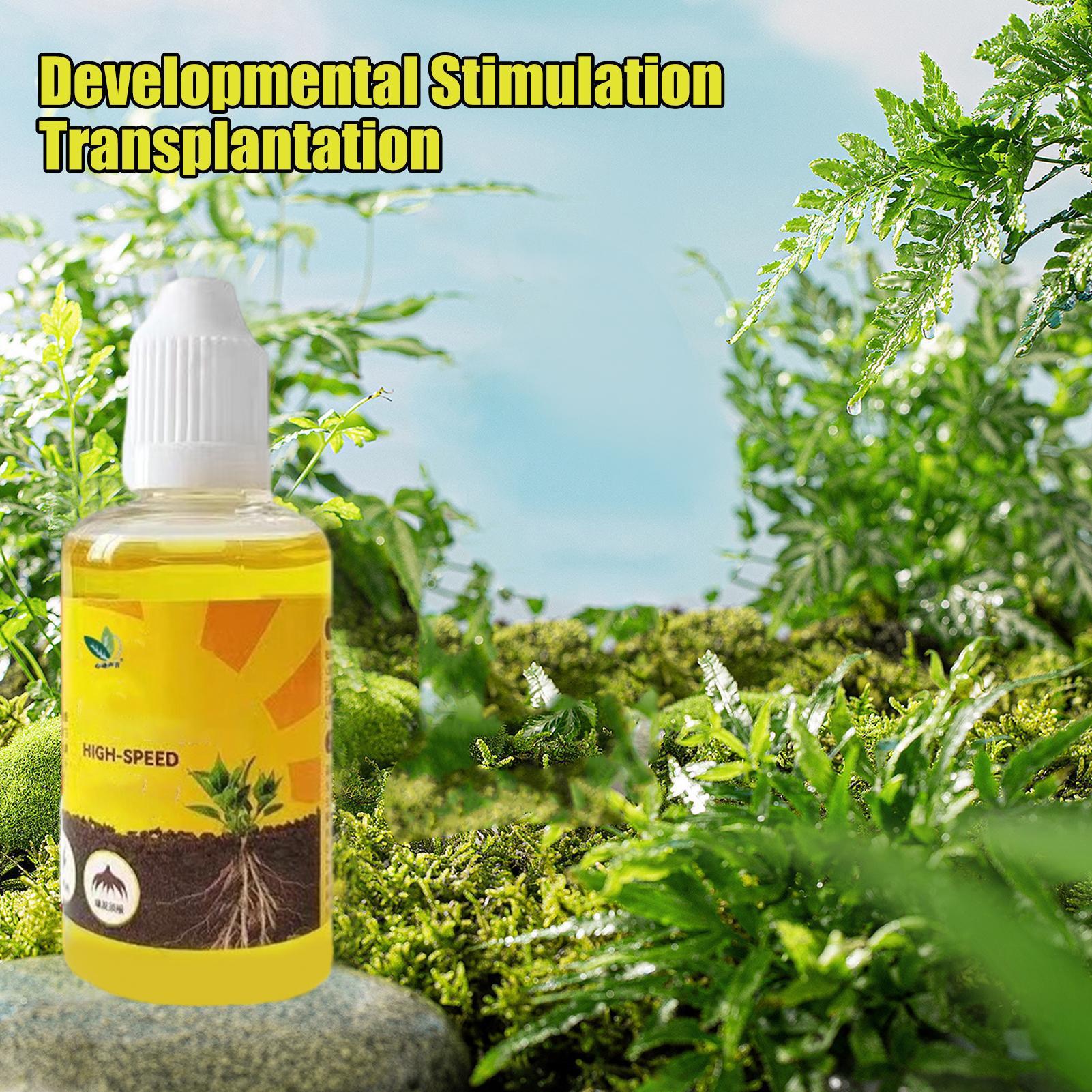 สารอาหารปลูกต้นไม้แบบเร่งราก ส - Root Stimulator Liquid บทวิจารณ์และราคา
