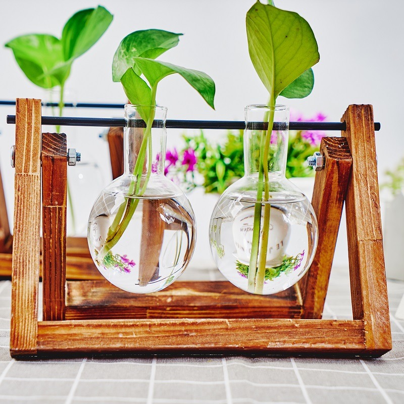 โต๊ะแก้ว Planter Propagation S - Propagation Station Vase บทวิจารณ์และราคา